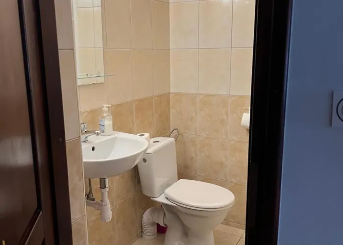 Pod Borowikiem Penzion